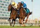 Jockey Rafael Hernandez guides Tom's Magic to victory in the 135th running of the $400,000 Breeders' Stakes over the bet365 Inner Turf Course.Tom's Magic is owned by CJ Thoroughbreds and Mo Speed Racing and trained by Michael Stidham. Woodbine/Michael Burns Photo