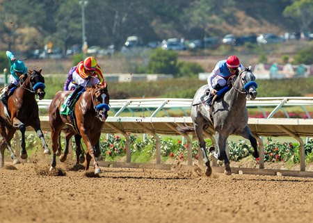 Brant wins the 2025 Del Mar Futurity at Del Mar