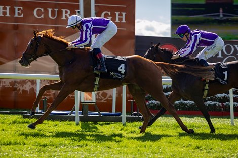 O’Brien Quartet Formidable in Fillies’ Mile
