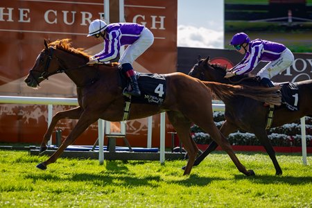 Precise wins the Moyglare Stud Stakes at The Curragh