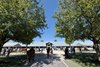 Scenics, 2025 Keeneland September Yearling Sale