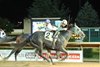 Gurney Halleck wins the 2025 Henry Mercer Memorial Stakes at Charles Town