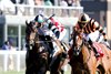 Troubleshooting wins the 2025 Franklin-Simpson Stakes at Kentucky Downs