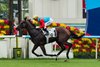 Ka Ying Rising and jockey Zac Purton sprint to victory in the HKSAR Chief Executive&#39;s Cup Handicap Sept. 7 at Sha Tin Racecourse.