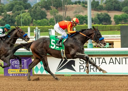 Nevada Beach wins the 2025 Goodwood Stakes at Santa Anita Park
