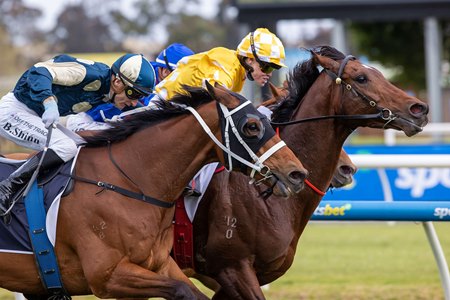Sir Delius (yellow silks) wins the Underwood Stakes at Caulfield Racecourse