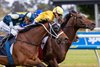 Sir Delius wins the 2025 Underwood Stakes at Caulfield Racecourse
ridden by Craig Williams and trained by Gai Waterhouse and Adrian Bott