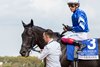 Rebel&#39;s Romance wins the 2025 Joe Hirsch Turf Classic Stakes at Aqueduct Racetrack