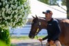 scene at Gainesway consignment
Keeneland September Yearling Sale at Keeneland in Lexington, Ky., on Sept. 9, 2025.