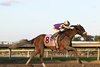 Baeza with Hector Isaac Berrios riding won the $1,000,000 Grade I Pennsylvania Derby  at Parx Racing in Bensalem, PA on Saturday September 20, 2025.  Photo by Nikki Sherman/EQUI-PHOTO