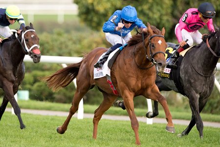 Notable Speech wins the Woodbine Mile
