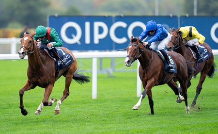 Calandagan defeats Ombudsman in the Champions Stakes at Ascot Racecourse