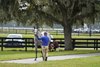 2025 OBS October Yearling Sale, Scene