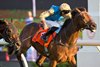 Silawi (IRE) wins the 2025 Canadian International Stakes at Woodbine