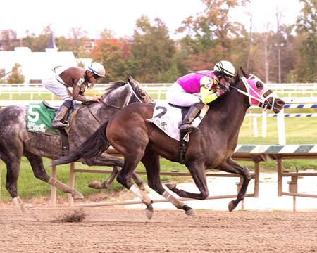Barbadian Runner wins the 2025 Maryland Million Classic Stakes at Laurel Park