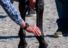 Dr. Will Farmer checking a front leg during a pre-race exam.
Veterinary track work with Dr. George Munday and Dr. Will Farmer at Keeneland on Oct. 2, 2025.