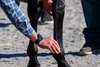 Dr. Will Farmer checking a front leg during a pre-race exam.
Veterinary track work with Dr. George Munday and Dr. Will Farmer at Keeneland on Oct. 2, 2025.