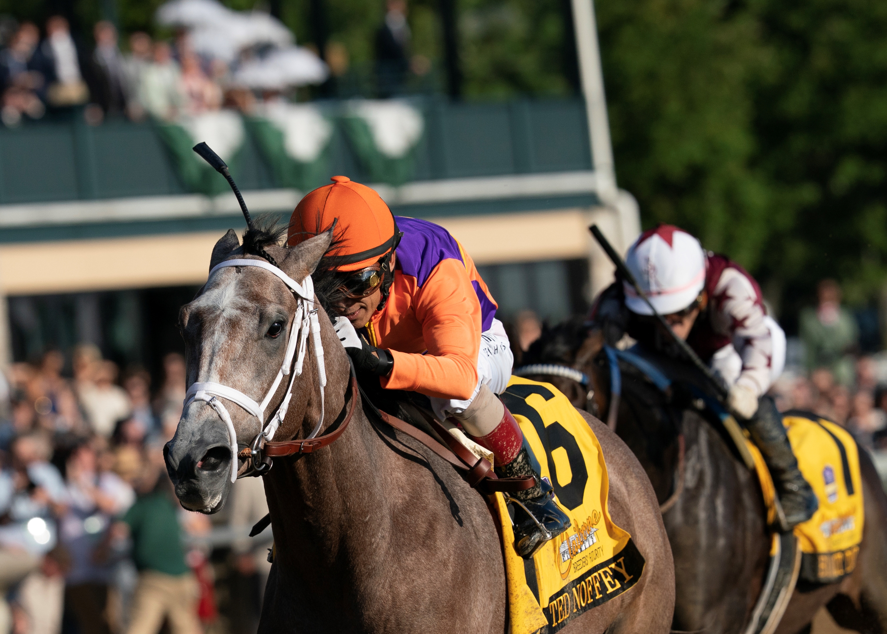 0d4ecd9900de4cb79ccd61033c60a9