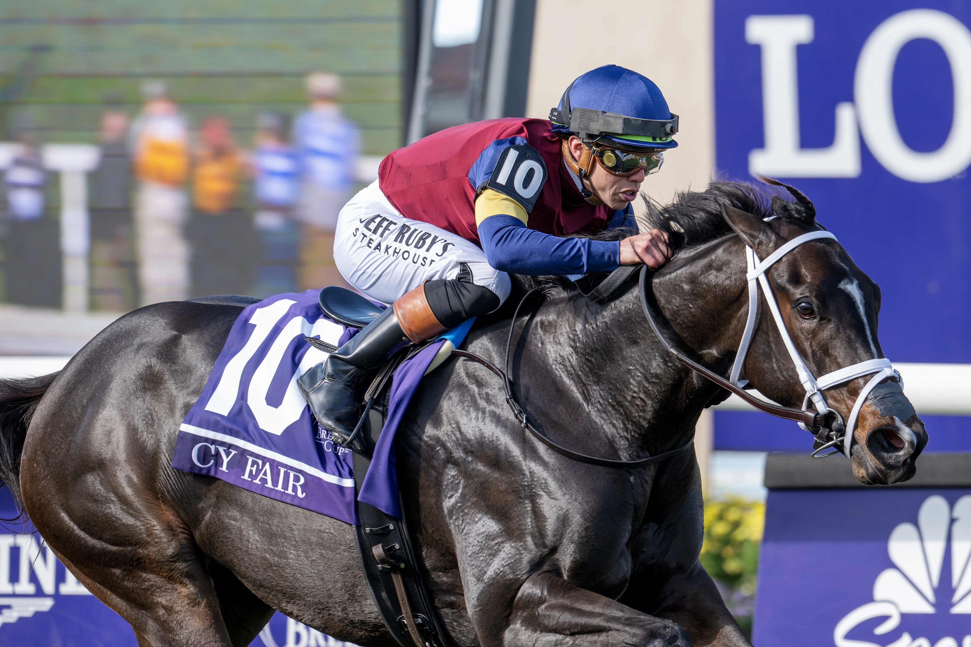 競馬Breeders' Cup 2021 Champion ジャージジャケット Breeders' Cup Juvenile Turf Sprint: 2018 - 2025 - Slideshow
