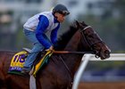 Sovereignty with Neil Pozansky has final workout for the Breeders’  Cup Classic at Del Mar Racetrack in Del Mar, CA on October 27, 2025. Photo By: Alex Evers