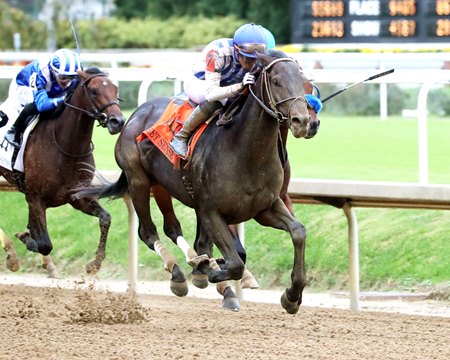 Incredibolt wins the 2025 Street Sense Stakes at Churchill Downs