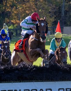Zanahiyr clears the final fence en route to victory in the American Grand National Hurdle Stakes at Far Hills