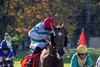 Zanahiyr ridden by Jack Kennedy  jumps the final fence on the way to the win in The American Grand National G1 at the Far Hills Races in Far Hills, N.J Saturday October 18, 2025.  This was trainer Gordon Elliott’s fifth win on the day and Jack Kennedy’s fourth.  Photo for Far Hills Race Meeting by Skip Dickstein