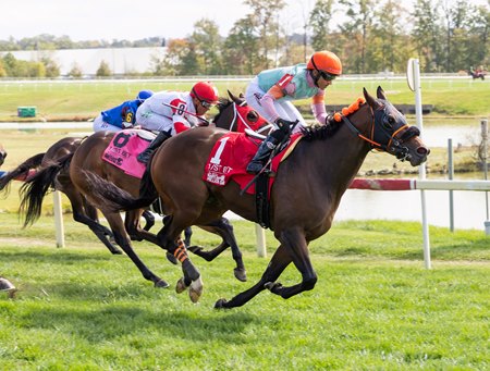Jevian Toledo guides Had to Have Him to victory in the Maryland Millions Turf Sprint Stakes