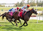 Had to Have Him #1 wtih Jevian Toledo riding won the $100,000 1/ST Bet Maryland Million Turf Sprint at Laurel Park on Saturday October 11, 2025.  Photo by Bill Denver/MJC