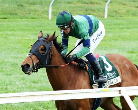 Venencia wins the Dowager Stakes at Keeneland