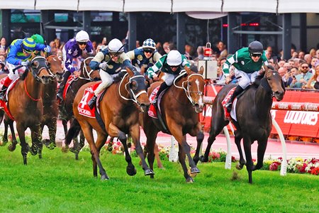 Via Sistina (center) defeats Buckaroo (outside) and stablemate Treasurethe Moment (rail) in the Cox Plate at Moonee Valley Racecourse