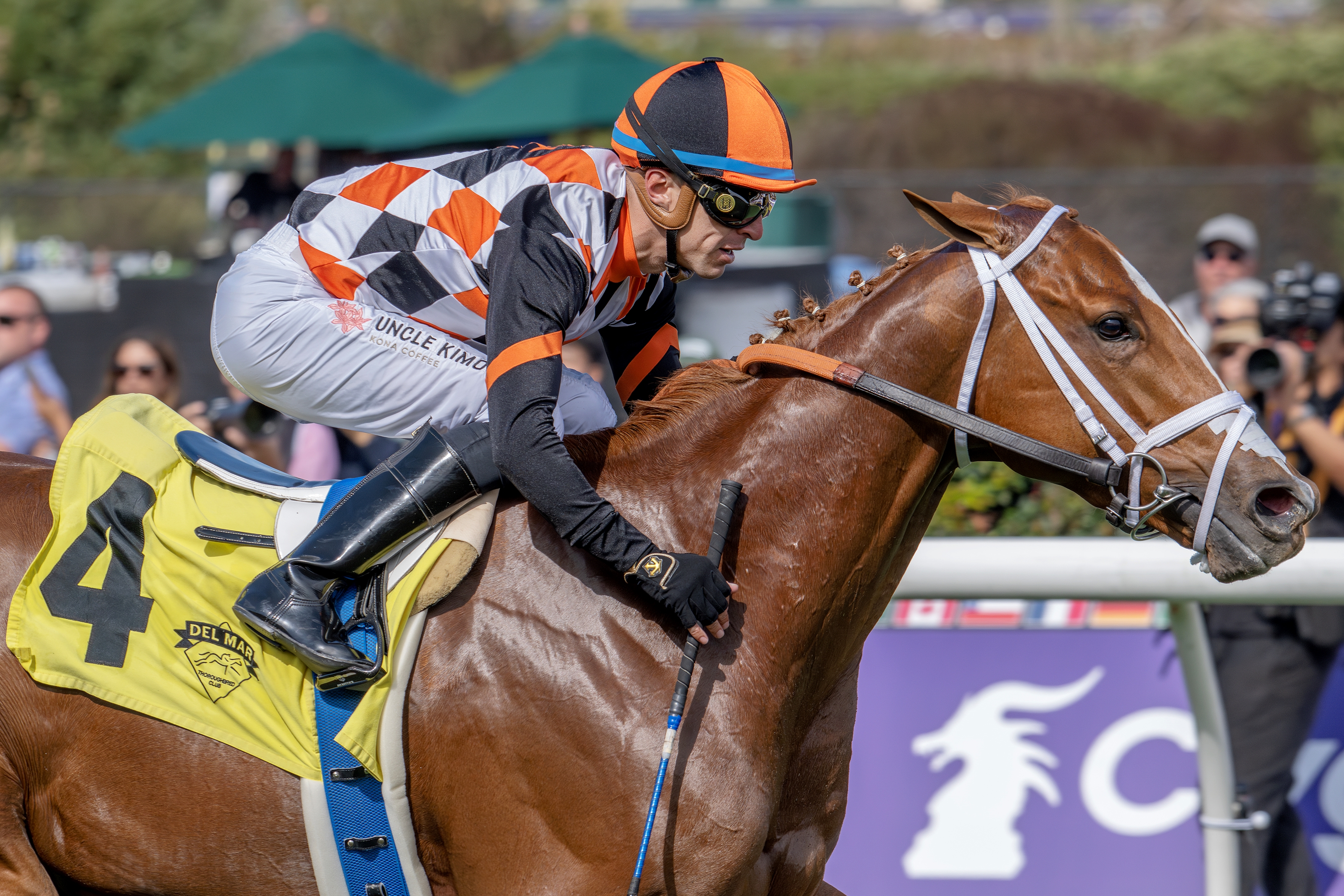 Queen Maxima Reigns Supreme in Senator Ken Maddy - BloodHorse