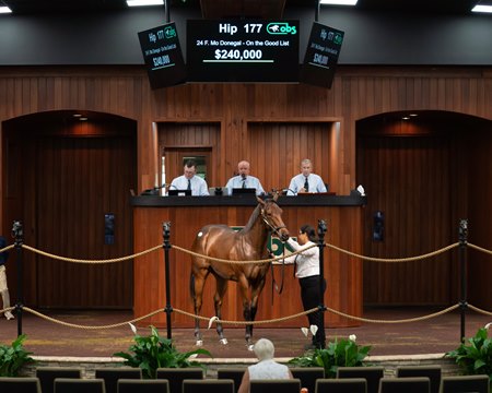 The Mo Donegal filly consigned as Hip 177 in the ring at the OBS October Sale