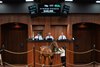 2025 OBS October Yearling Sale, Hip 177