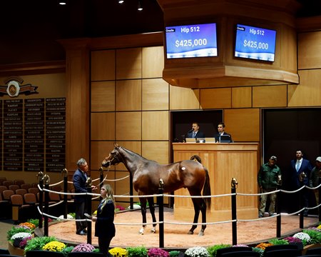 The Flightline colt consigned as Hip 512 in the ring at the Fasig-Tipton October Sale