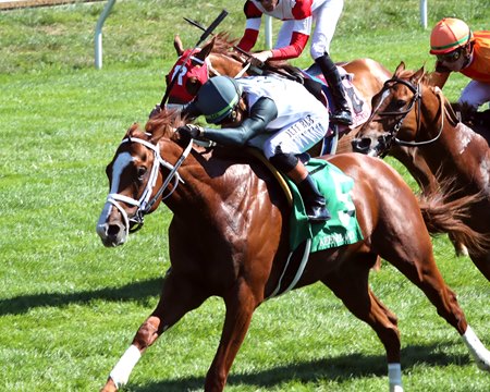 Elston Gunnn wins a maiden special weight at Keeneland