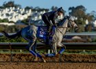 Brant at Del Mar Racetrack in Del Mar, CA on October 29, 2025. Photo By: Alex Evers