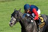 Desvio and John Velazquez win the G2Sycamore Stakes, Keeneland,10-10-25, MatheaKelley-Bloodhorse