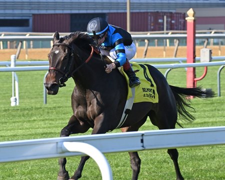 Village Voice wins the Waya Stakes at Aqueduct Racetrack
