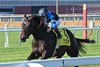 Village Voice (GB) wins the 2025 Waya Stakes at Aqueduct Racetrack