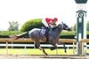 Confessional, Maiden Win, Keeneland, October 16 2025