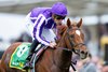 Precise (Christophe Soumillon) wins the Fillies&#39; Mile
Newmarket 10.10.25 Pic: Edward Whitaker