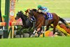 Embroidery defeats Erika Express in the Shuka Sho, third leg of Japan&#39;s Filly Triple Crown