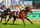 Sir Delius wins the 2025 Turnbull Stakes at Flemington Racecourse
ridden by Craig Williams and Trained by Gai Waterhouse and Adrian Bott
