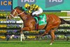 Autumn Glow wins the 2025 Epsom Handicap at Randwick Racecourse
ridden by Kerrin McEvoy and trained by Chris Waller