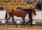 Lot 1124 Night of Thunder (IRE) / Quenelle d&#39;Or (GB) B.C. (GB)	New England Stud	George Boughey	800,000
Tattersalls October Yearling Sale
Book 23
15OCT25 
