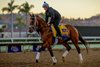 Journalism gallops for the Breeders’ Cup Classic at Del Mar Racetrack in Del Mar, CA on October 29, 2025. Photo By: Alex Evers