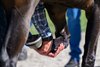 Dr. Will Farmer flexing a front leg during a pre-race exam.
Veterinary track work with Dr. George Munday and Dr. Will Farmer at Keeneland on Oct. 2, 2025.