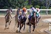 Tommy Jo (3) orange cap, battling into the stretch with Percy&#39;s Bar (1) white cap in the G1 Darley Alcibiades S. for 2 year old fillies. She earned an entry to the Breeder&#39;s Cup Juvenile Fillies.