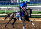 Rebel's Romance
Morning training at Del Mar with Breeders’ Cup contenders at Del Mar Thoroughbred Club in Del Mar, CA,  on Oct. 28, 2025.